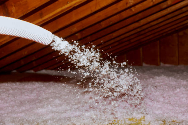 Best Insulation Materials and Products in Dunnigan, CA